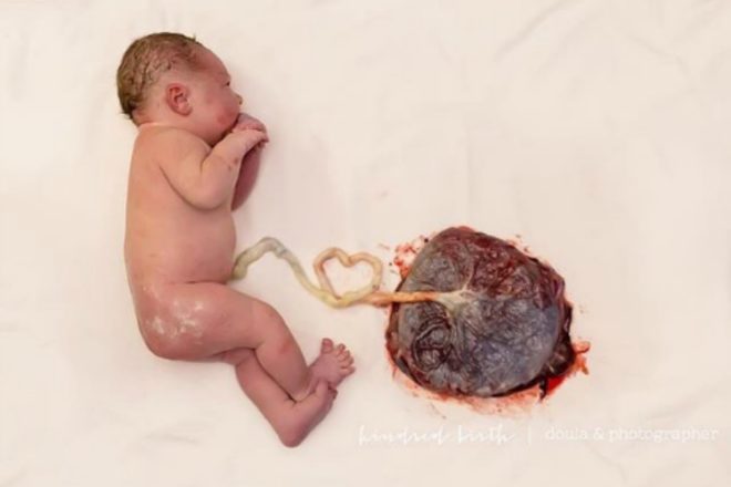placenta